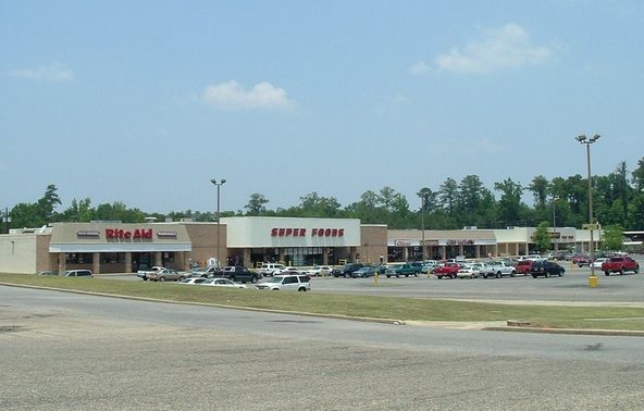 Thomasville Plaza Shopping Ctr: 33151 Highway 43, Thomasville, AL 36784